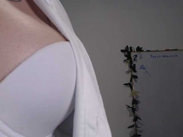 ブロードキャストスクリーンショット AdaIson