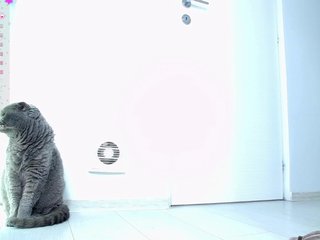 エロティックなビデオチャット AfroditaAmy