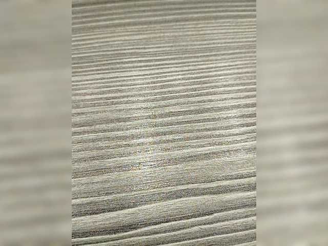 ブロードキャストスクリーンショット alysya111222