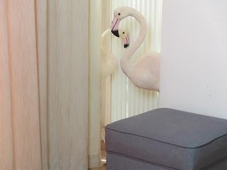 エロティックなビデオチャット AmeliaJune