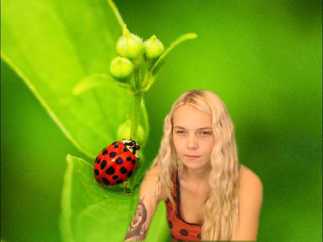 写真 AnnaHappy18 ...the story of the lonely ladybug.