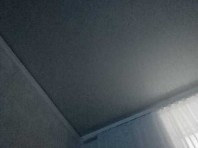 ブロードキャストスクリーンショット b1ToorBoPussy