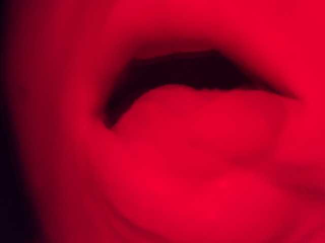 プロフィールの写真 bendybelle