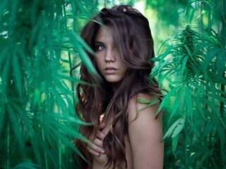 エロティックなビデオチャット -VIRDGINIA-