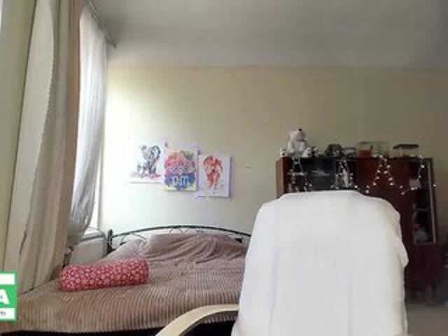 ブロードキャストスクリーンショット -Deviil