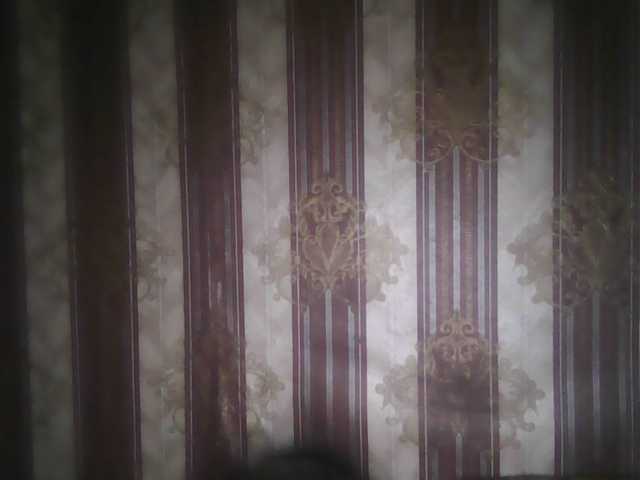 ブロードキャストスクリーンショット -jasmine-