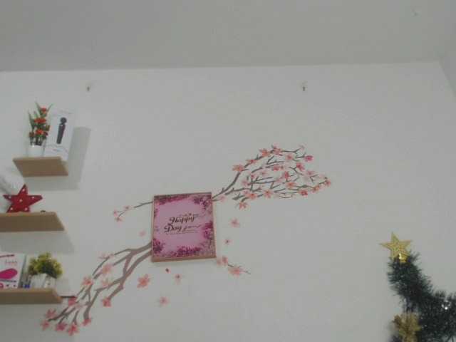 ブロードキャストスクリーンショット Brionygip