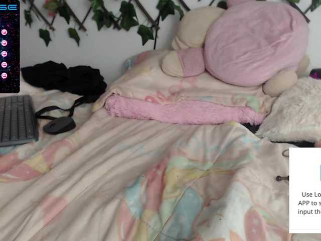 ブロードキャストスクリーンショット catacandy