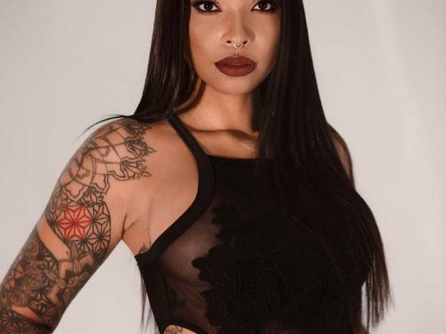 プロフィールの写真 cocodamore