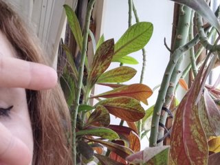 エロティックなビデオチャット Crazycouple8