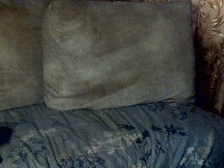 エロティックなビデオチャット CuteGloria