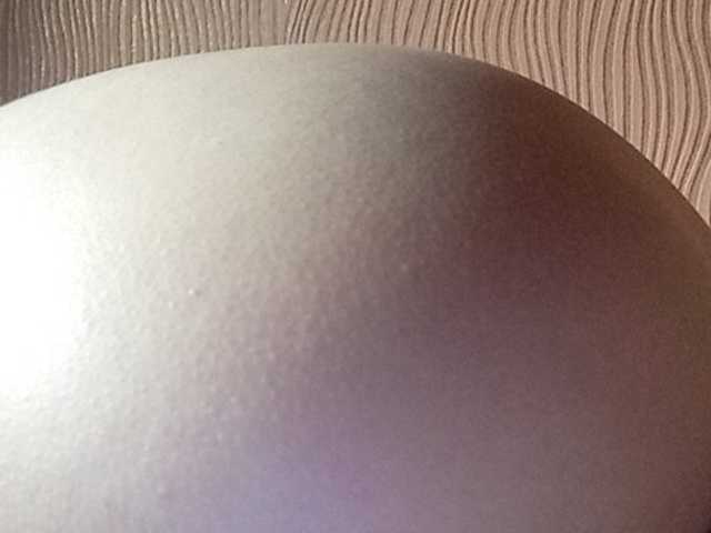 ブロードキャストスクリーンショット Darinaray777