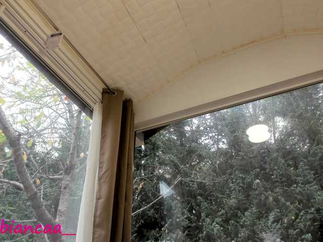 ブロードキャストスクリーンショット Denise-Quinn