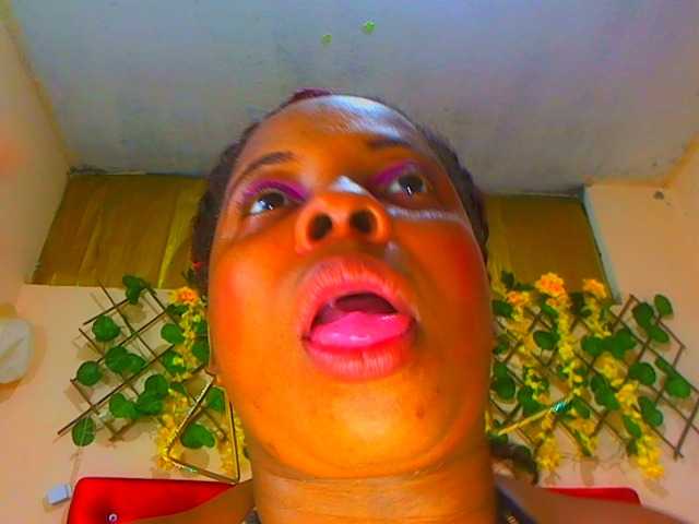 ブロードキャストスクリーンショット DenisseFox