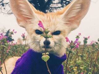 エロティックなビデオチャット Anecka31