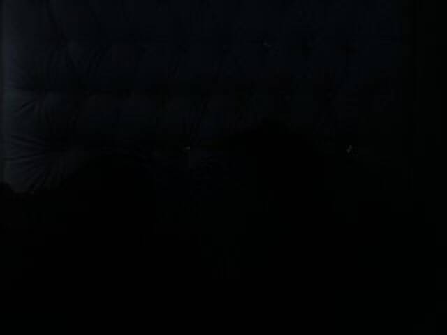 ブロードキャストスクリーンショット DolcePinkPuss