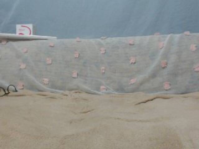 ブロードキャストスクリーンショット DonnaWildJoyy