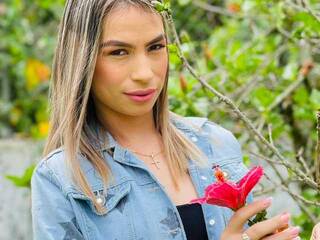 エロティックなビデオチャット elabarbrow