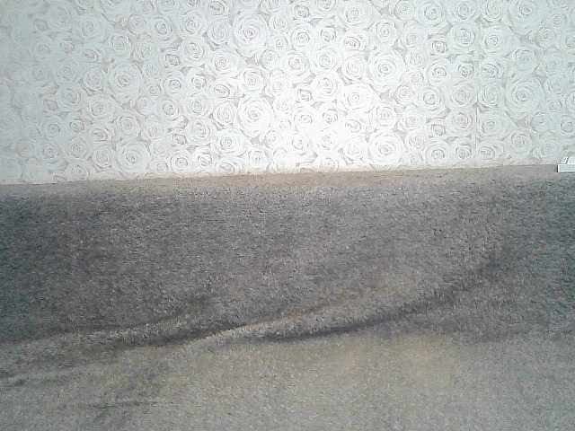 ブロードキャストスクリーンショット ElegantBlonda