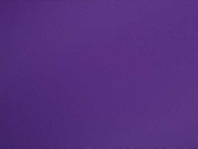 ブロードキャストスクリーンショット AngelLadyEva