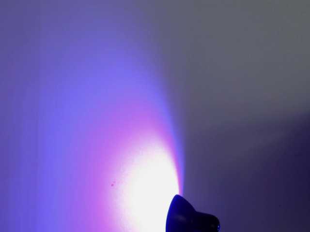 ブロードキャストスクリーンショット evangelingtor