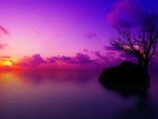 エロティックなビデオチャット florabella