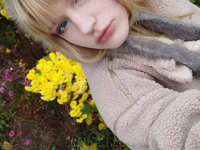 プロフィールの写真 Gambrina