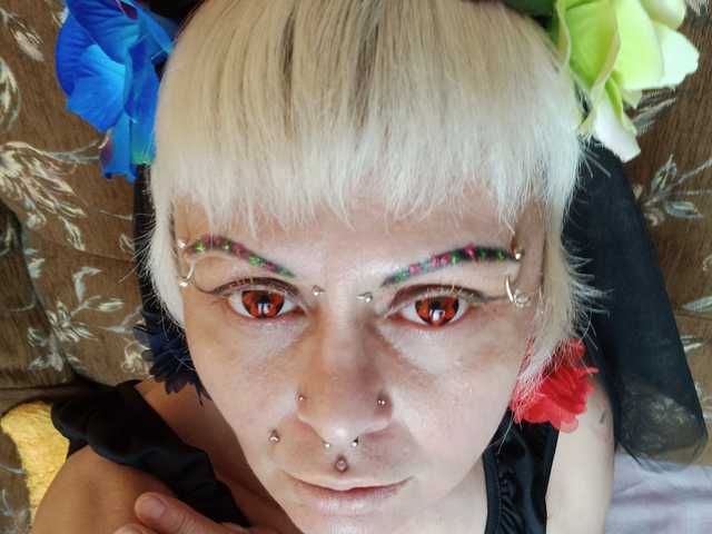 プロフィールの写真 GardenerofIllusions