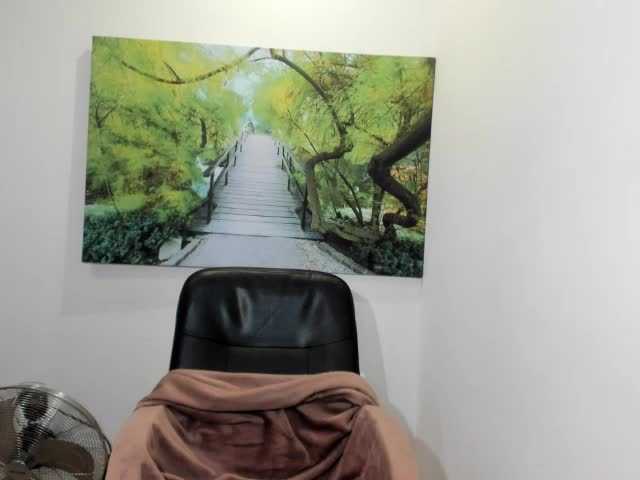 ブロードキャストスクリーンショット havanaginger1