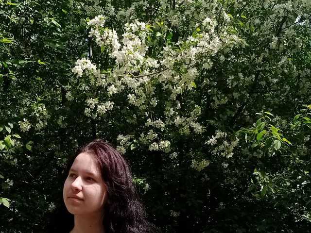 プロフィールの写真 LisaMeowss