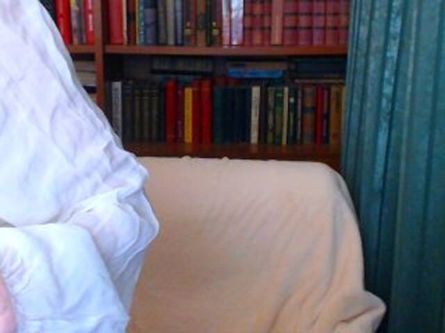 ブロードキャストスクリーンショット KassiaDinn