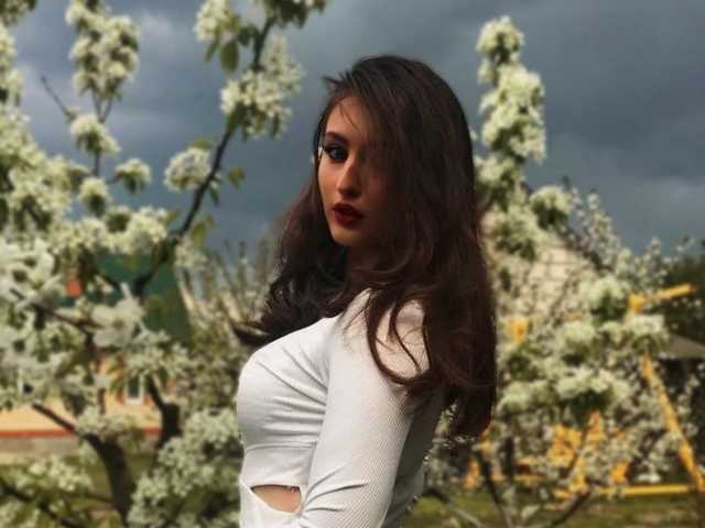 プロフィールの写真 KinkyNova