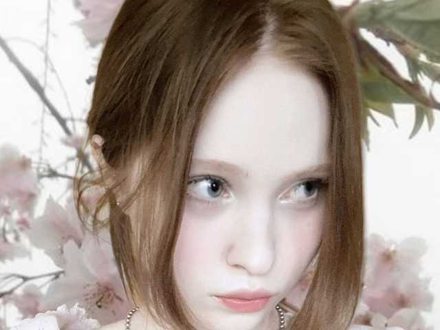 プロフィールの写真 l1ttle-puppy