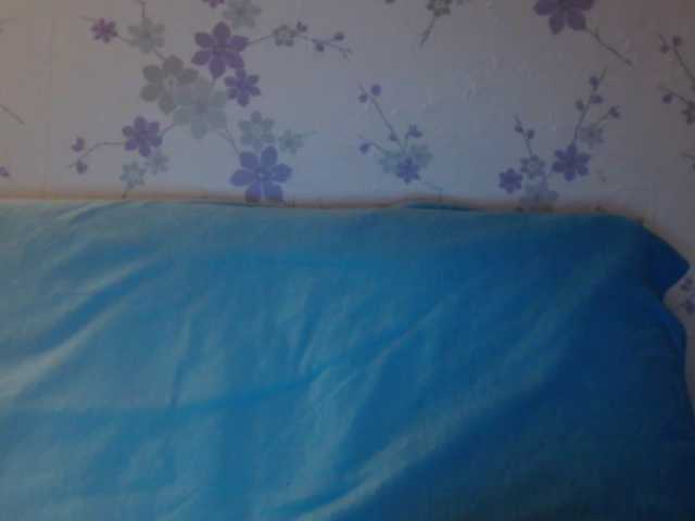 ブロードキャストスクリーンショット littledevi