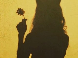 プロフィールの写真 Fiery_Phoenix