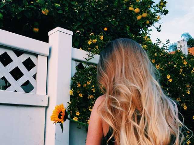 プロフィールの写真 lizzy-bee