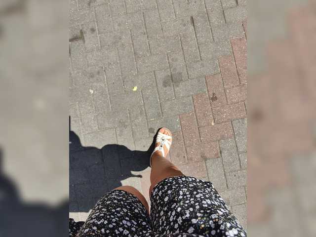 ブロードキャストスクリーンショット -Savanna-