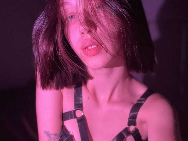 プロフィールの写真 lyricssa