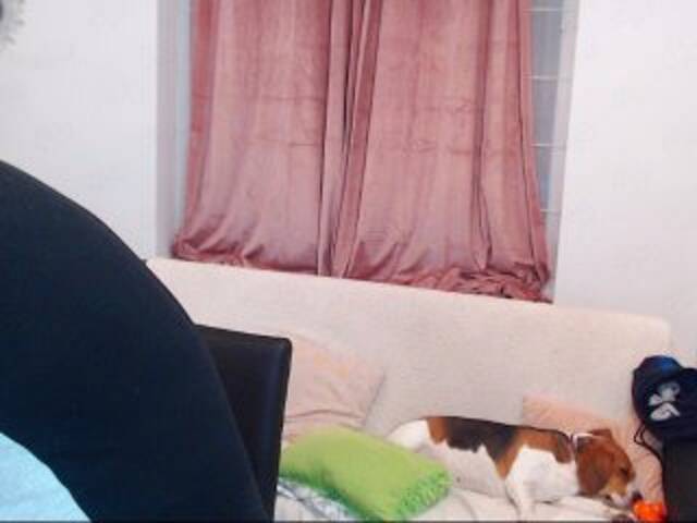 ブロードキャストスクリーンショット MaxGACouple