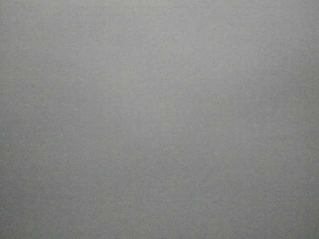 ブロードキャストスクリーンショット medeeablonde