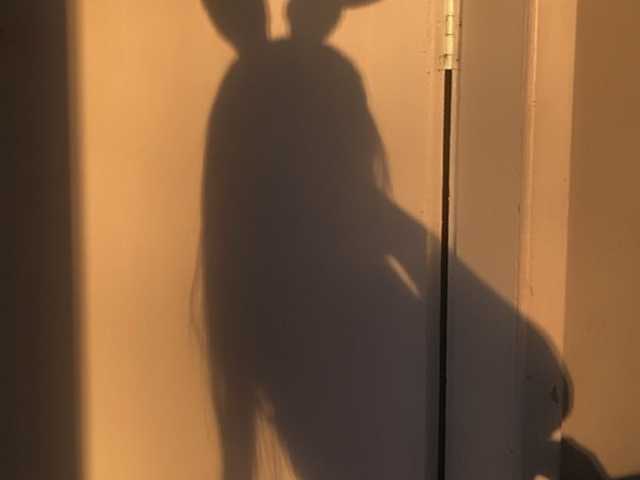 プロフィールの写真 meltemss