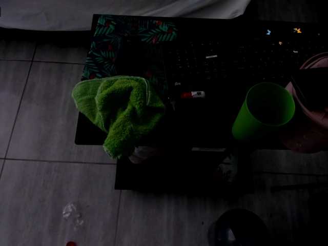 ブロードキャストスクリーンショット MichellSkinny