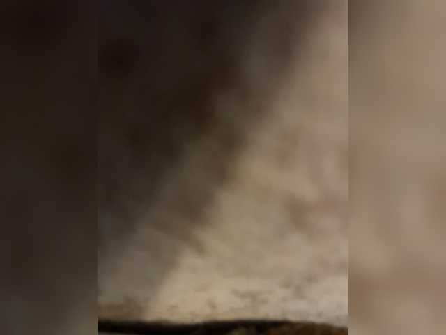 プロフィールの写真 mishka146