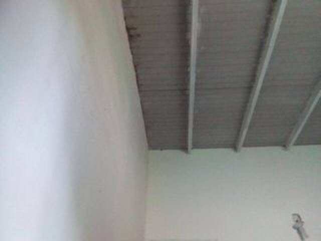 ブロードキャストスクリーンショット misscute