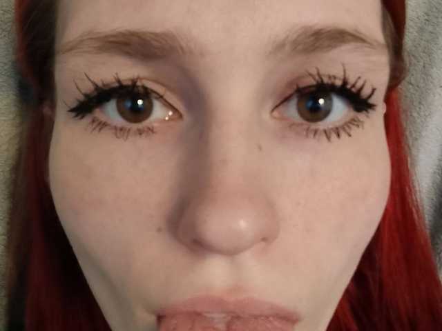 プロフィールの写真 Moonlitmiragea