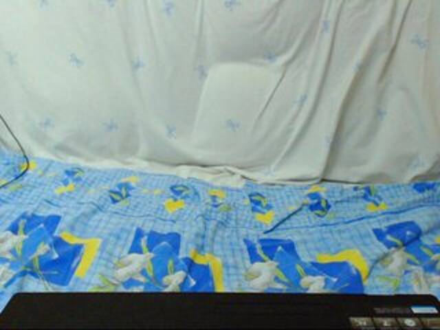 ブロードキャストスクリーンショット Morphinee