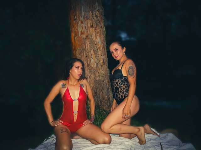 プロフィールの写真 nayarascarlet