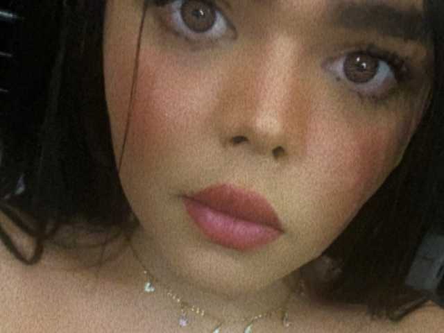 プロフィールの写真 niacardona