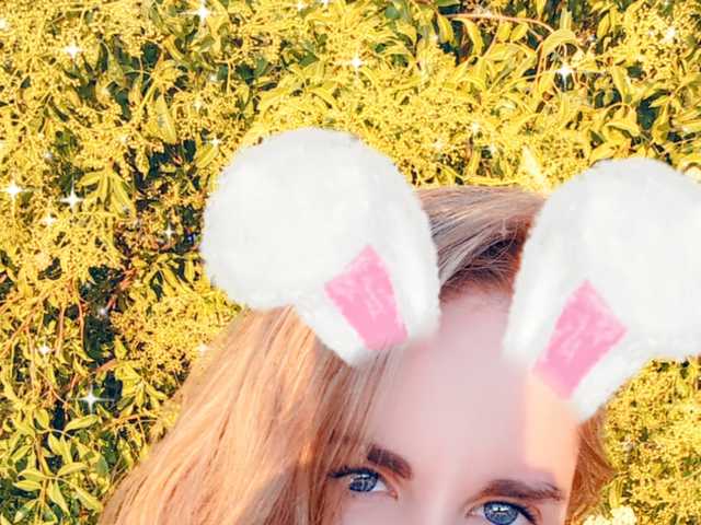 プロフィールの写真 Nilkibunnyxo