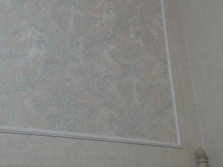 ブロードキャストスクリーンショット _Noele_